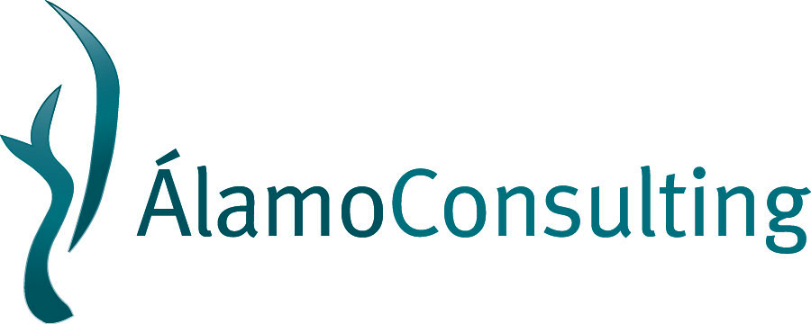 Alamo Consulting